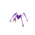 spore araignée greg